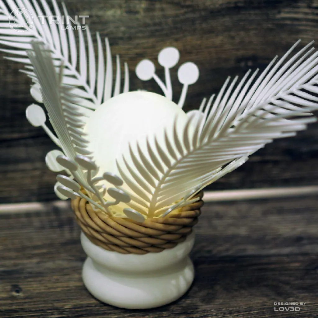 05.webp