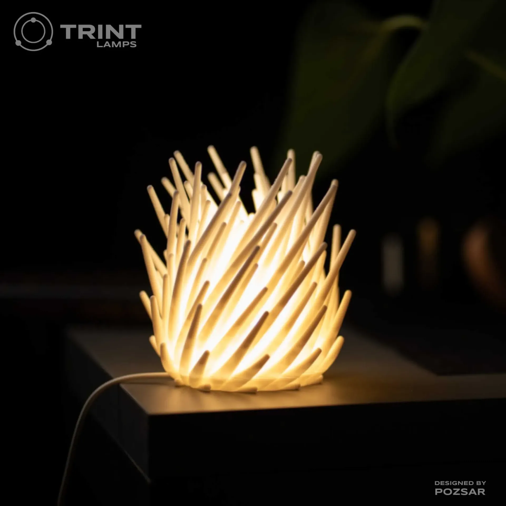 Spirit Lamp by Trint - 3D Printed
