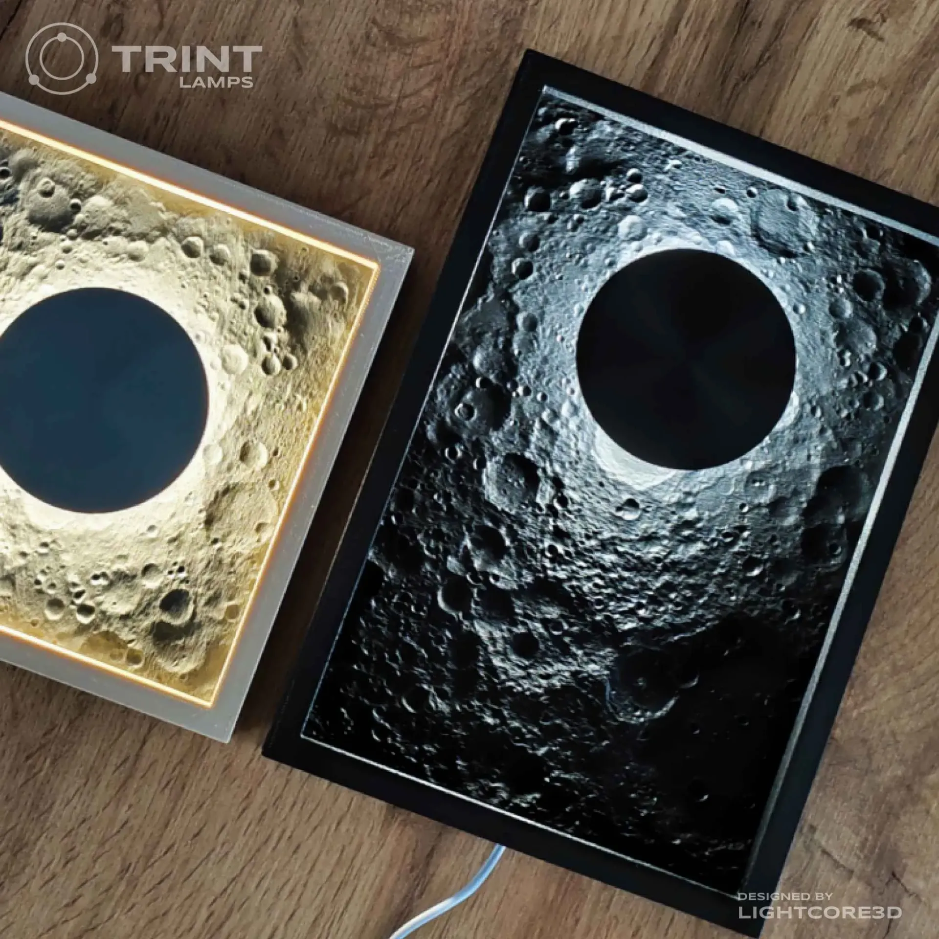 Lunar Landscape by Trint - 3D Printed (White)